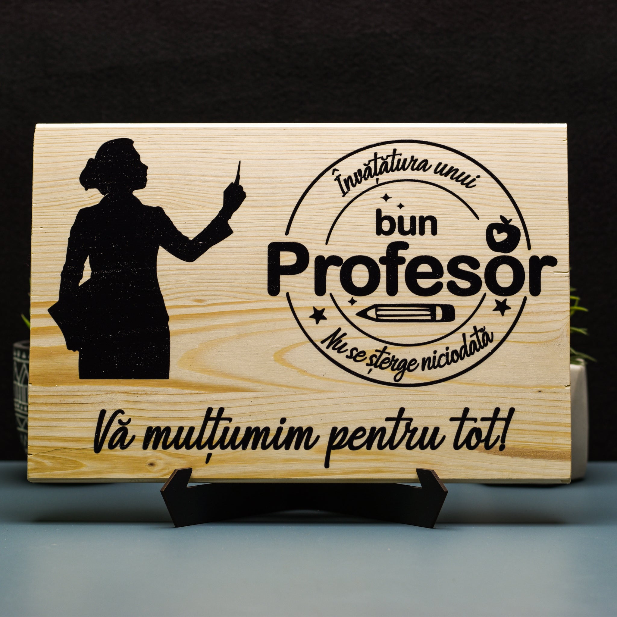 Tablou Lemn - Profesor